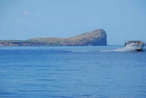 Gabriel Island: Ganztägige Katamaran-Kreuzfahrt Gruppentour