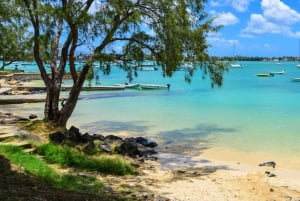 GBaie: 3 North Islands Cruise, Lunch & CoindeMire Snorkeling