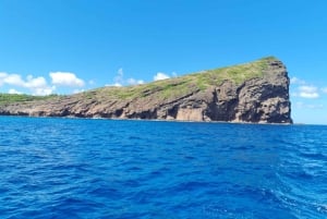 GBaie: 3 North Islands Cruise, Lunch & CoindeMire Snorkeling