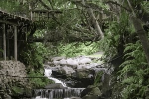 Schluchten, spiritueller See, Wasserfälle & 23 farbige Erde