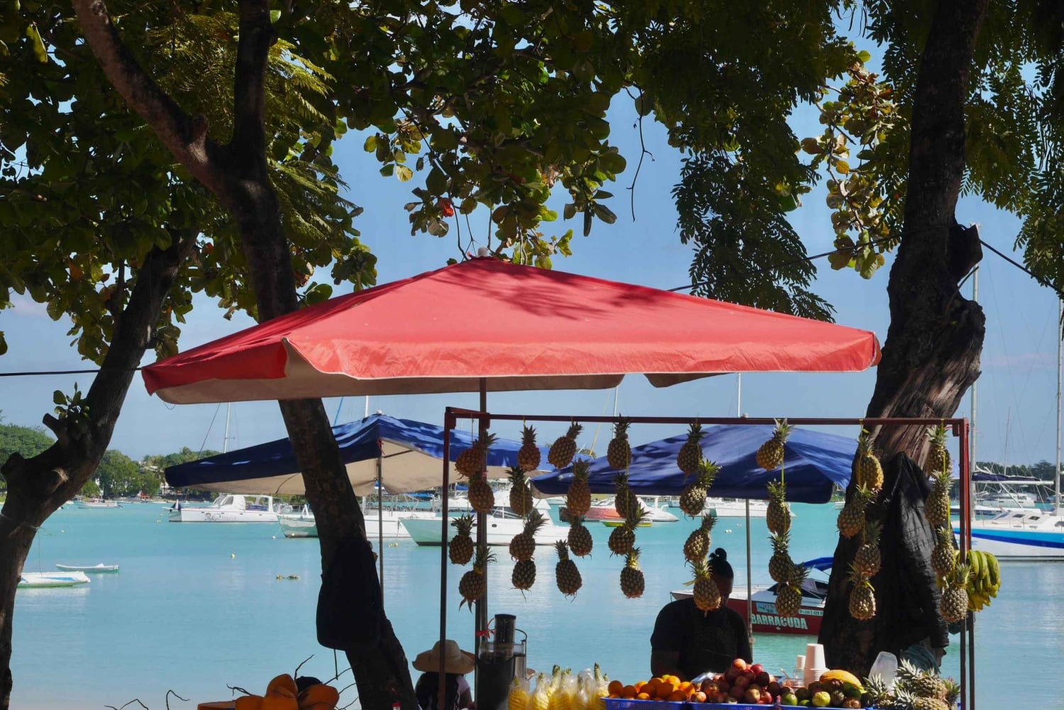 Grand Baie: Kystmat og kulturvandring