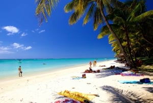 Grand Baie: kokopäiväristeily katamaraanilla pohjoissaarille