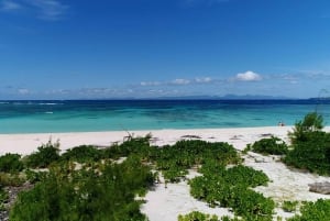 Grand Baie: kokopäiväristeily katamaraanilla pohjoissaarille