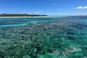 GBaie: Cruzeiro nas 3 Ilhas do Norte, almoço e mergulho com snorkel em CoindeMire