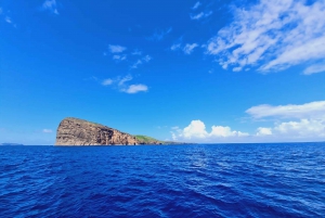 GBaie: Cruzeiro nas 3 Ilhas do Norte, almoço e mergulho com snorkel em CoindeMire