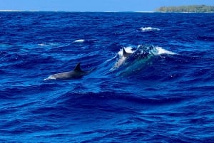 Grand Baie: Northern Isles Catamaran & Tropical BBQ