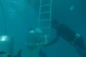 Grand Baie: Solarbetriebener Unterwasser-Spaziergang