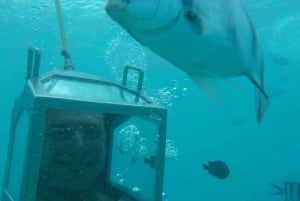 Grand Baie : marche sous-marine à énergie solaire