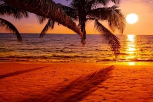 Grand Bay: BBQ Dinner on Catamaran & Short Sunset Tour