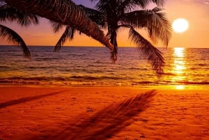 Grand Bay: BBQ-middag på katamaran og kort solnedgangstur