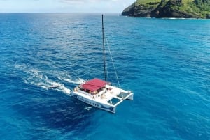 Grand Bay: Katamaran-Kreuzfahrt nach Flat Island mit BBQ-Mittagessen