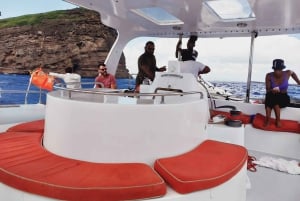 Grand Bay: Katamaran-Kreuzfahrt nach Flat Island mit BBQ-Mittagessen