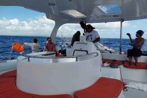 Grand Bay: Katamaran-Kreuzfahrt nach Flat Island mit BBQ-Mittagessen