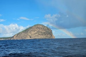 Grand Bay: Katamaran-Kreuzfahrt nach Flat Island mit BBQ-Mittagessen