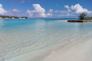 Grand Bay: Katamaran-Kreuzfahrt nach Flat Island mit BBQ-Mittagessen