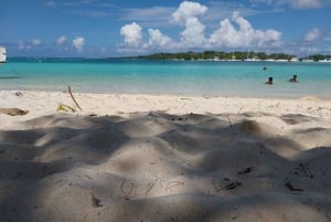 Grand Bay: Katamaran-Kreuzfahrt nach Flat Island mit BBQ-Mittagessen