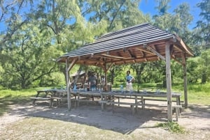Grand Bay: Katamaran-Kreuzfahrt nach Flat Island mit BBQ-Mittagessen