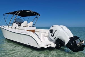 Grande Riviere Noire: Veneretki ja uinti delfiinien kanssa