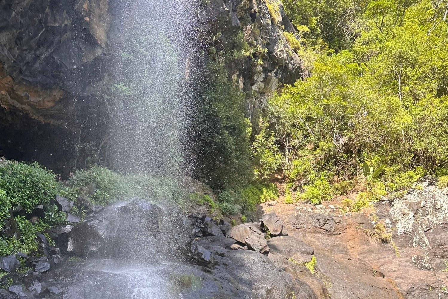 Escursione guidata alle 7 Cascate, gioiello naturale di Mauritius: Plaine-Wilhems