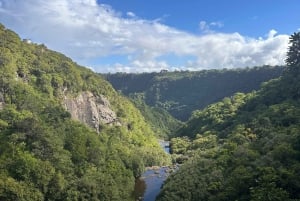 Opastettu vaellus 7 vesiputoukselle, Mauritiuksen luonnonhelmi: Plaine-Wilhems