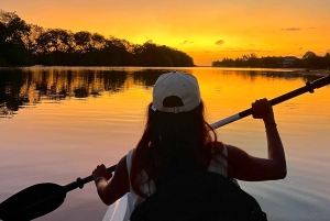 Guided Sundowner Kayak Tour