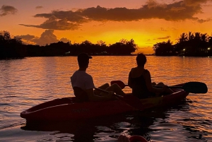 Guided Sundowner Kayak Tour