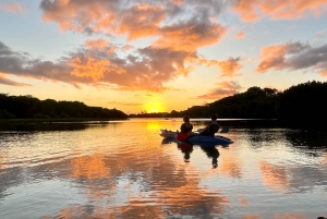 Guided Sundowner Kayak Tour