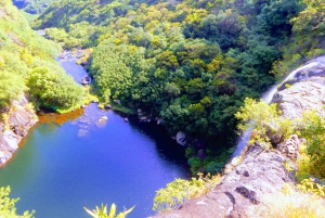 Mauritius: Guided Tamarind Falls Hike with Hotel Transfers