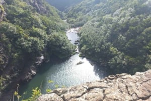 Henrietta: Senderismo en las Cascadas del Tamarindo