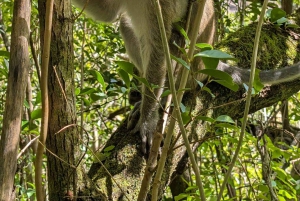 Henrietta: Hiking at the Tamarind Waterfalls