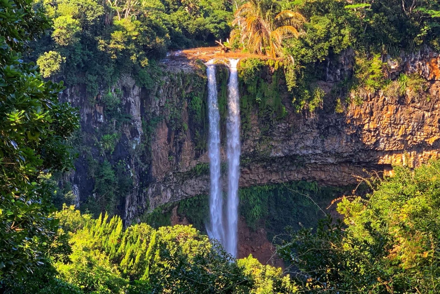 Hiking the Black River Gorges: Full-day incl Lunch &Transfer