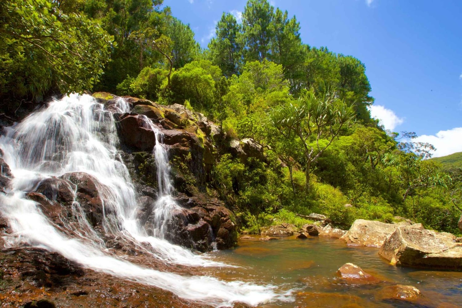 Hiking the Black River Gorges: Full-day incl Lunch &Transfer