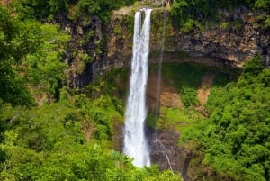 Hiking the Black River Gorges: Full-day incl Lunch &Transfer
