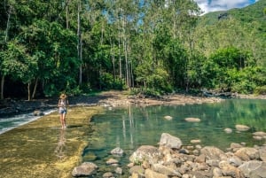 Hiking the Black River Gorges: Full-day incl Lunch &Transfer