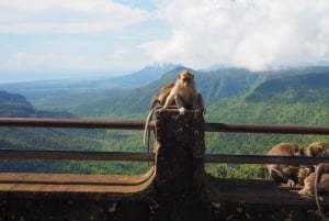 Hiking the Black River Gorges: Full-day incl Lunch &Transfer