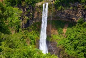 Hiking the Black River Gorges: Full-day incl Lunch &Transfer