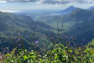Hiking the Black River Gorges: Full-day incl Lunch &Transfer