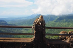 Hiking the Black River Gorges: Full-day incl Lunch &Transfer