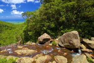 Hiking the Black River Gorges: Full-day incl Lunch &Transfer