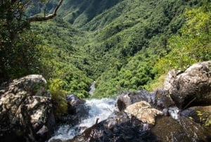 Hiking the Black River Gorges: Full-day incl Lunch &Transfer