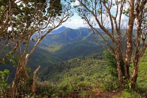 Hiking the Black River Gorges: Full-day incl Lunch &Transfer