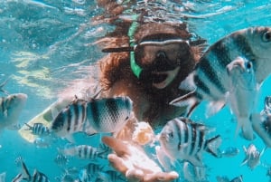 Ile Aux 2 Cocos täysin päivän All Inclusive paketti