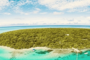 Ile aux Aigrettes: Tour privato in battello al tramonto