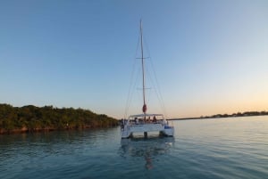Ile aux Aigrettes: Tour privato in battello al tramonto