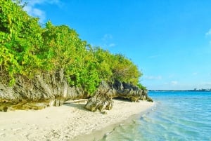 Reserva de Ile aux Aigrettes y barco con fondo de cristal de Blue Bay
