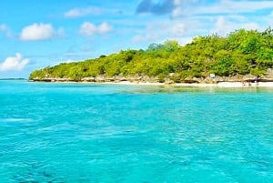 Reserva de Ile aux Aigrettes y barco con fondo de cristal de Blue Bay