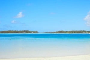 Reserva de Ile aux Aigrettes y barco con fondo de cristal de Blue Bay