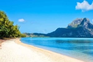 Ile aux Benitier: tour con avvistamento dei delfini e pranzo