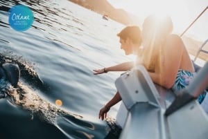 Ile Aux Bénitiers: Private Katamaran-Kreuzfahrt mit Gourmet-Mittagessen