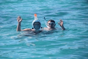 Île aux Bénitiers : plongée en apnée avec les dauphins + déjeuner de fruits de mer